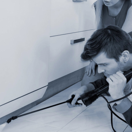 pest control sparaying under cabinets