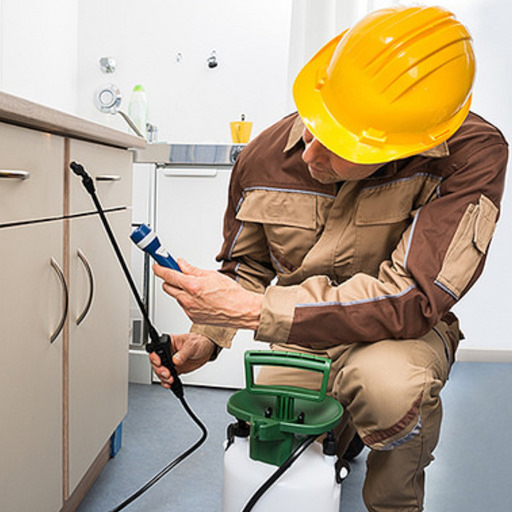 residential pest control