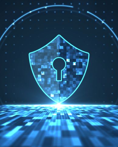 security asessment